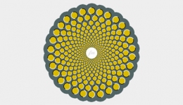 Излъчваме на живо: Fashion in motion